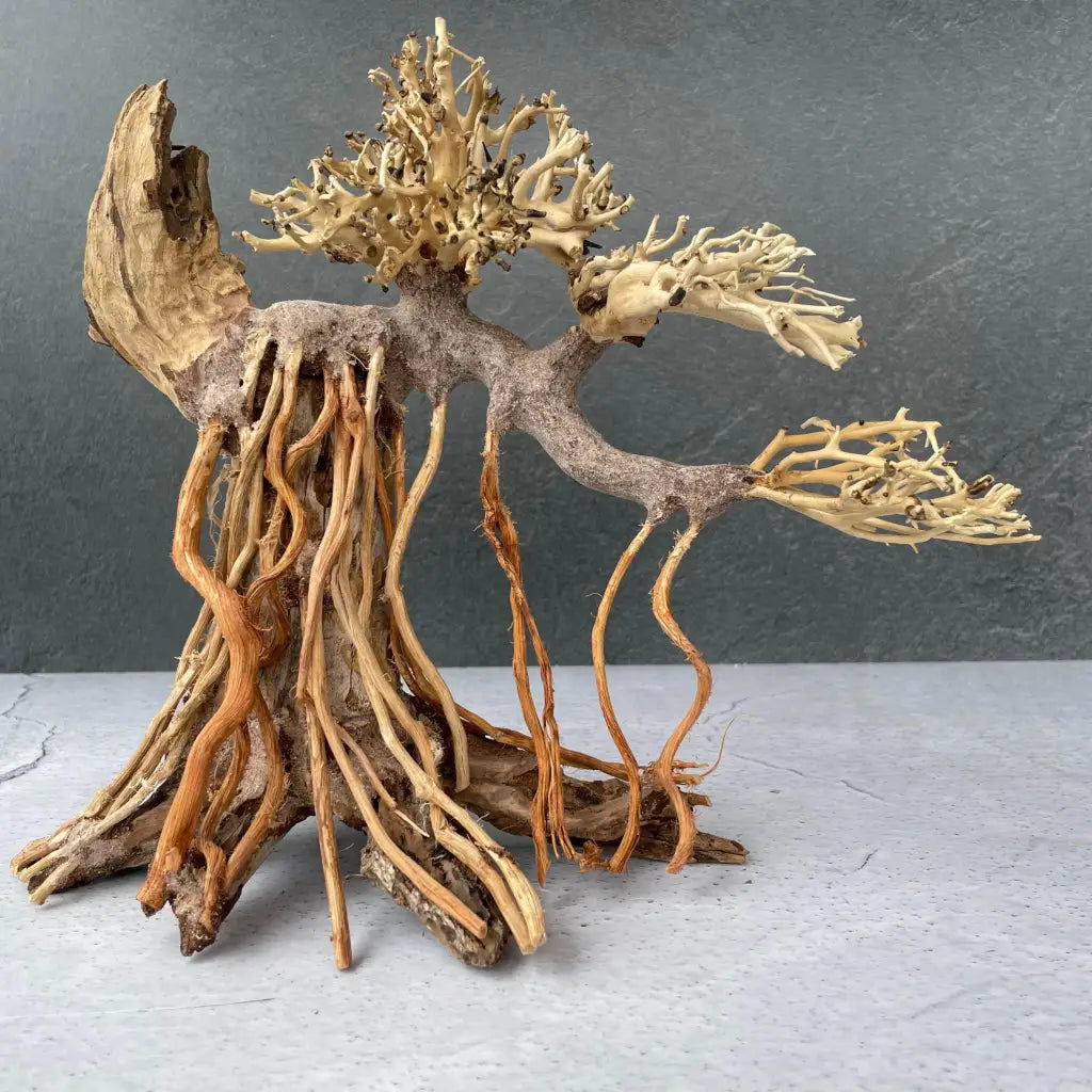 Aquascaping Handmade Aquatic Bonsai Driftwood Tree 30cm(L)x25cm(H) ABQ40