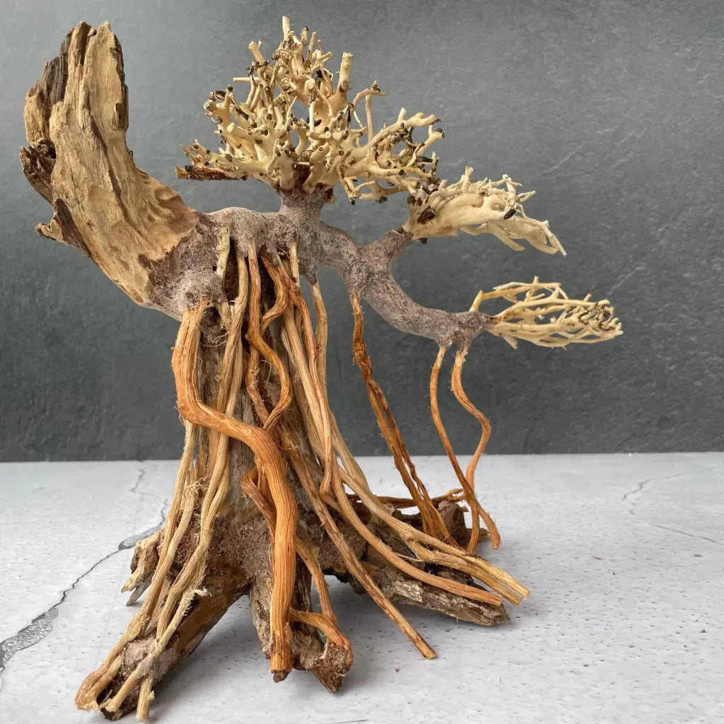 Aquascaping Handmade Aquatic Bonsai Driftwood Tree 30cm(L)x25cm(H) ABQ40