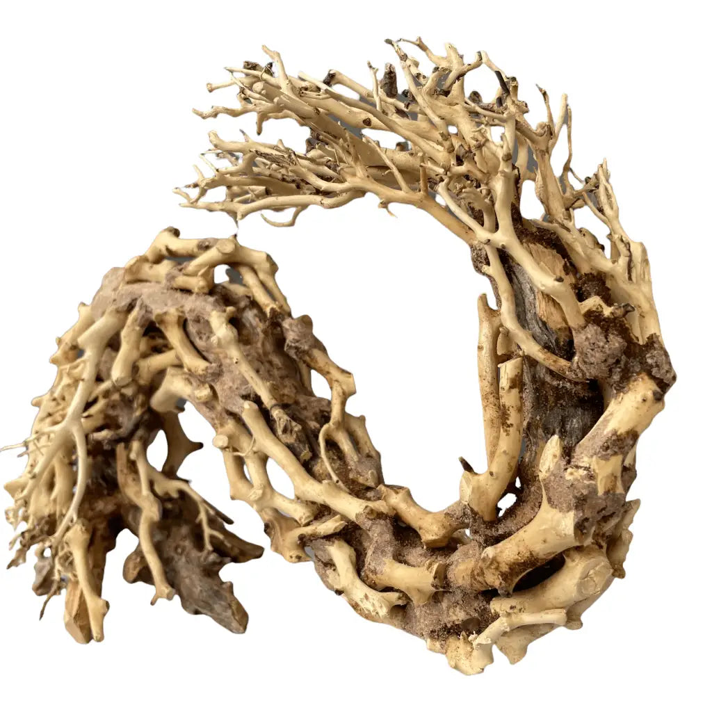 Aquascaping Handmade Aquatic Bonsai Driftwood Tree 35cm(L)x25cm(H) ABQ67
