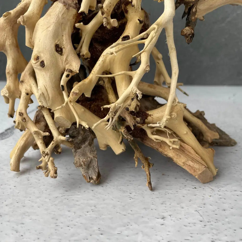 Aquascaping Handmade Aquatic Bonsai Driftwood Tree 35cm(L)x25cm(H) ABQ67