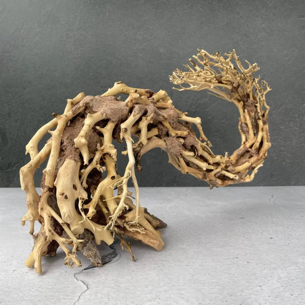 Aquascaping Handmade Aquatic Bonsai Driftwood Tree 35cm(L)x25cm(H) ABQ67