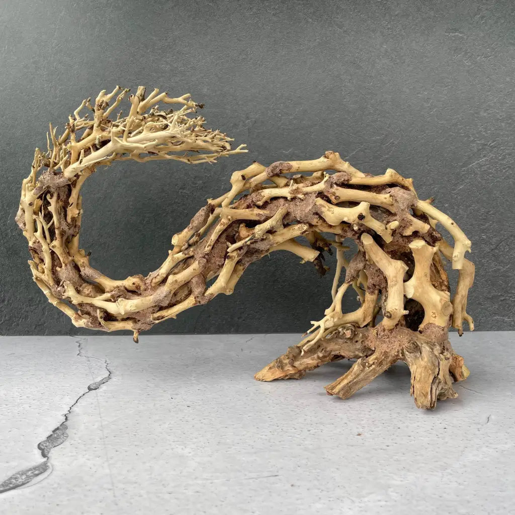 Aquascaping Handmade Aquatic Bonsai Driftwood Tree 35cm(L)x25cm(H) ABQ67