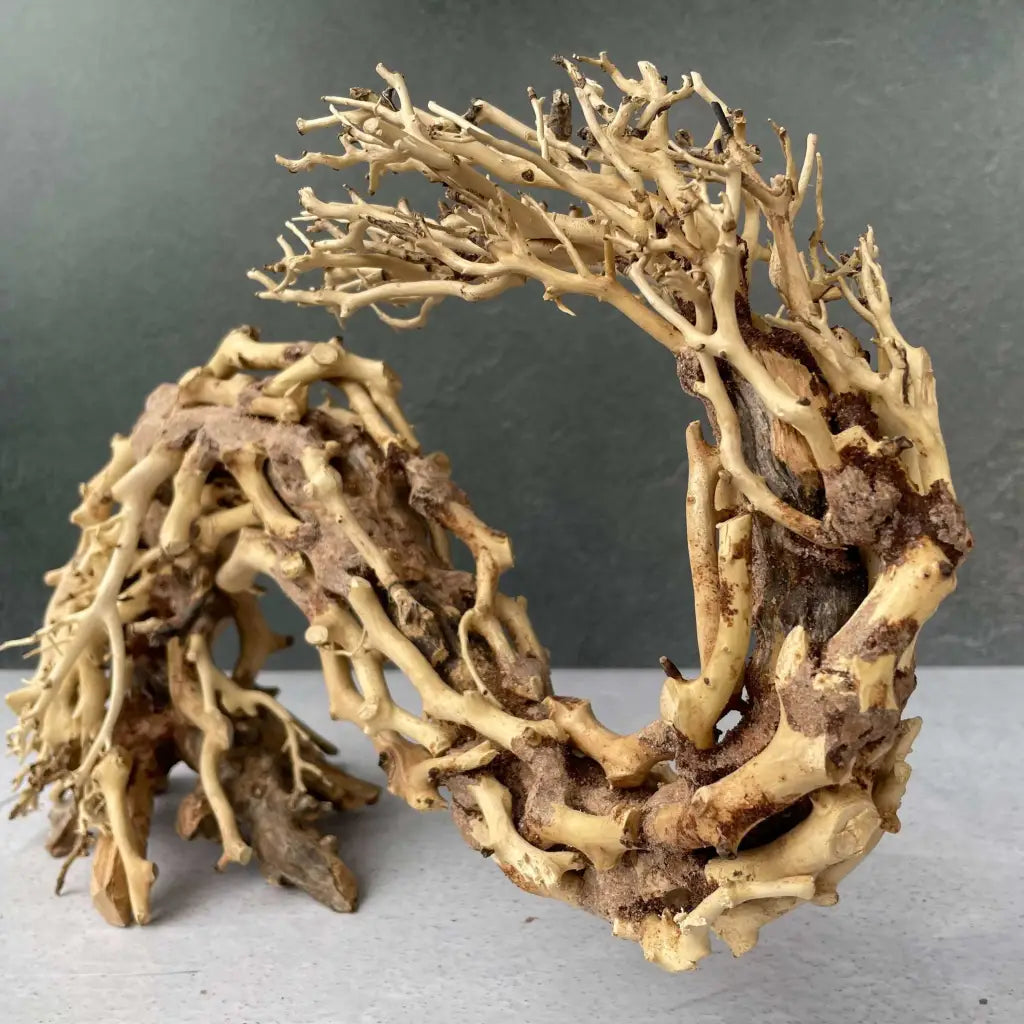 Aquascaping Handmade Aquatic Bonsai Driftwood Tree 35cm(L)x25cm(H) ABQ67