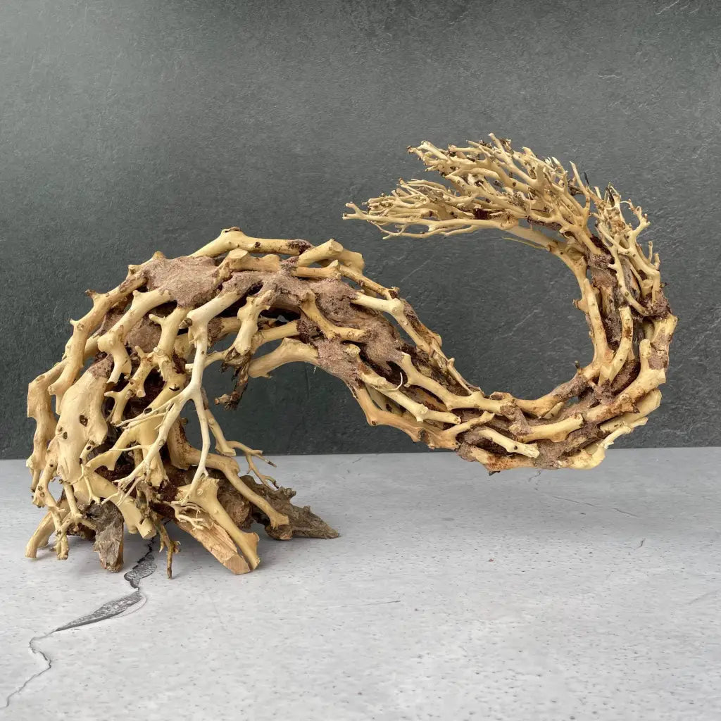 Aquascaping Handmade Aquatic Bonsai Driftwood Tree 35cm(L)x25cm(H) ABQ67