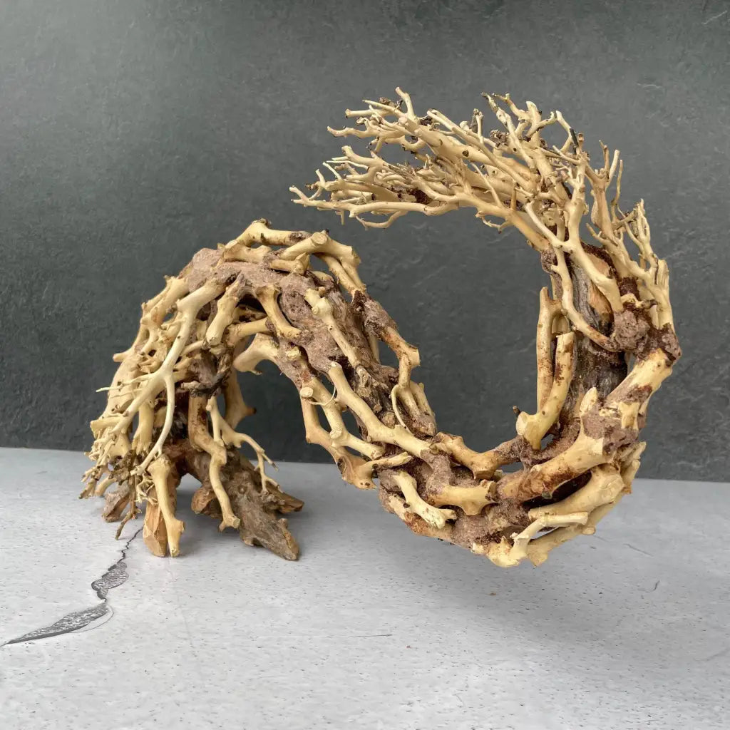 Aquascaping Handmade Aquatic Bonsai Driftwood Tree 35cm(L)x25cm(H) ABQ67