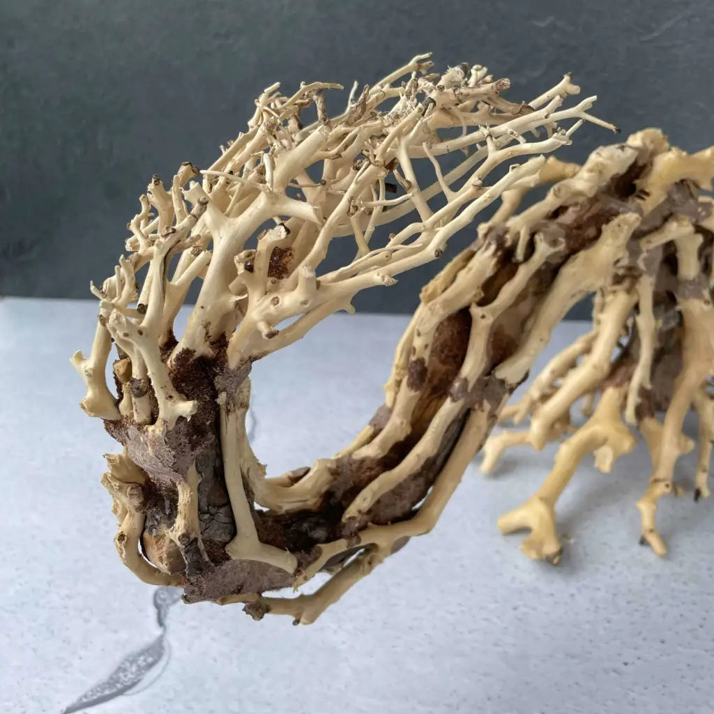 Aquascaping Handmade Aquatic Bonsai Driftwood Tree 35cm(L)x25cm(H) ABQ95