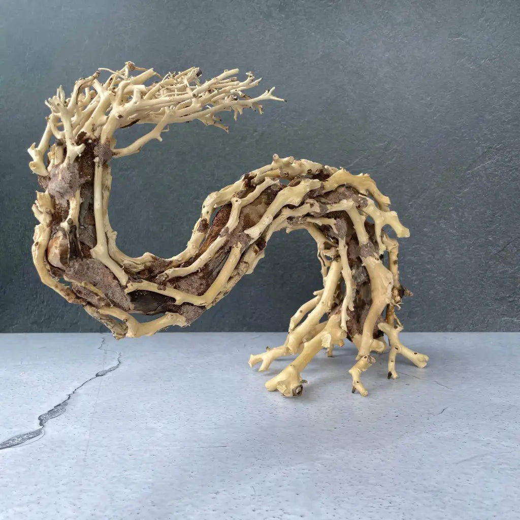 Aquascaping Handmade Aquatic Bonsai Driftwood Tree 35cm(L)x25cm(H) ABQ95