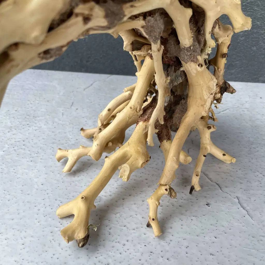 Aquascaping Handmade Aquatic Bonsai Driftwood Tree 35cm(L)x25cm(H) ABQ95