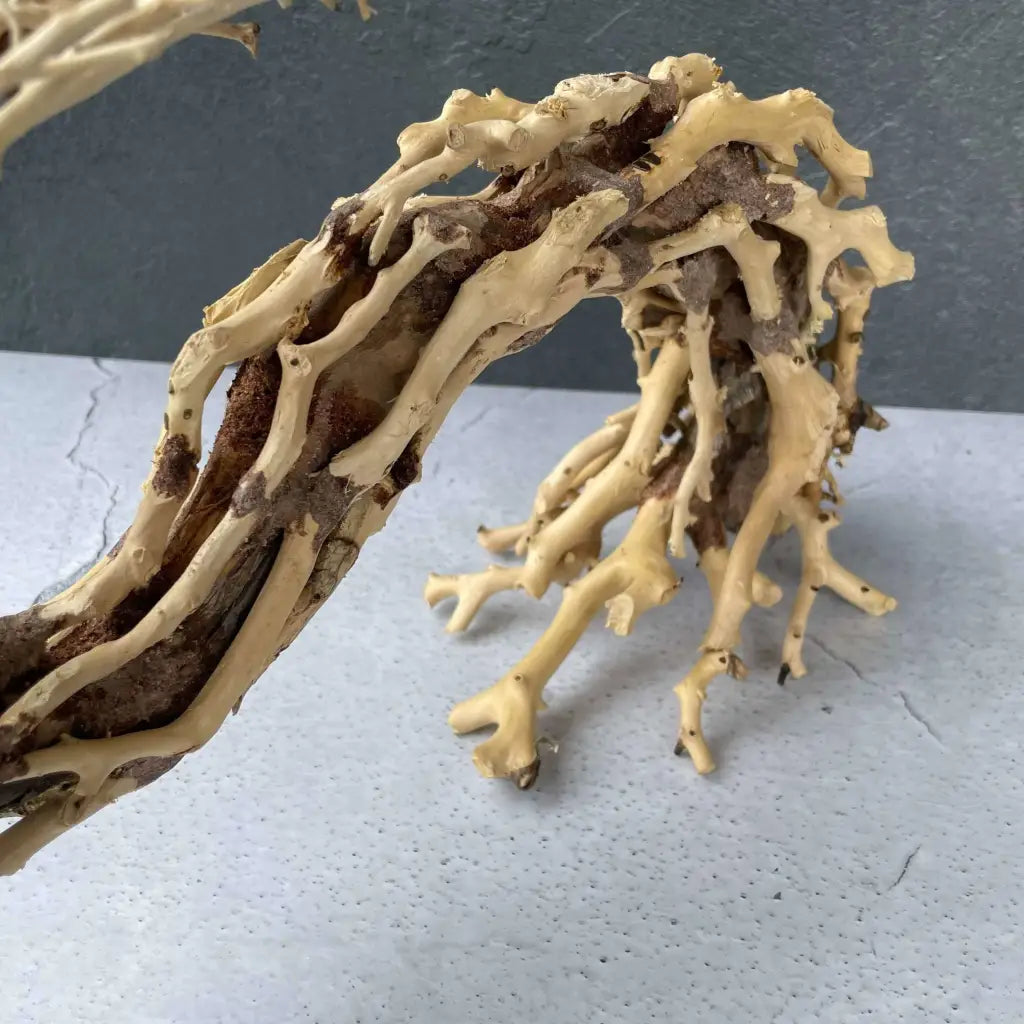 Aquascaping Handmade Aquatic Bonsai Driftwood Tree 35cm(L)x25cm(H) ABQ95