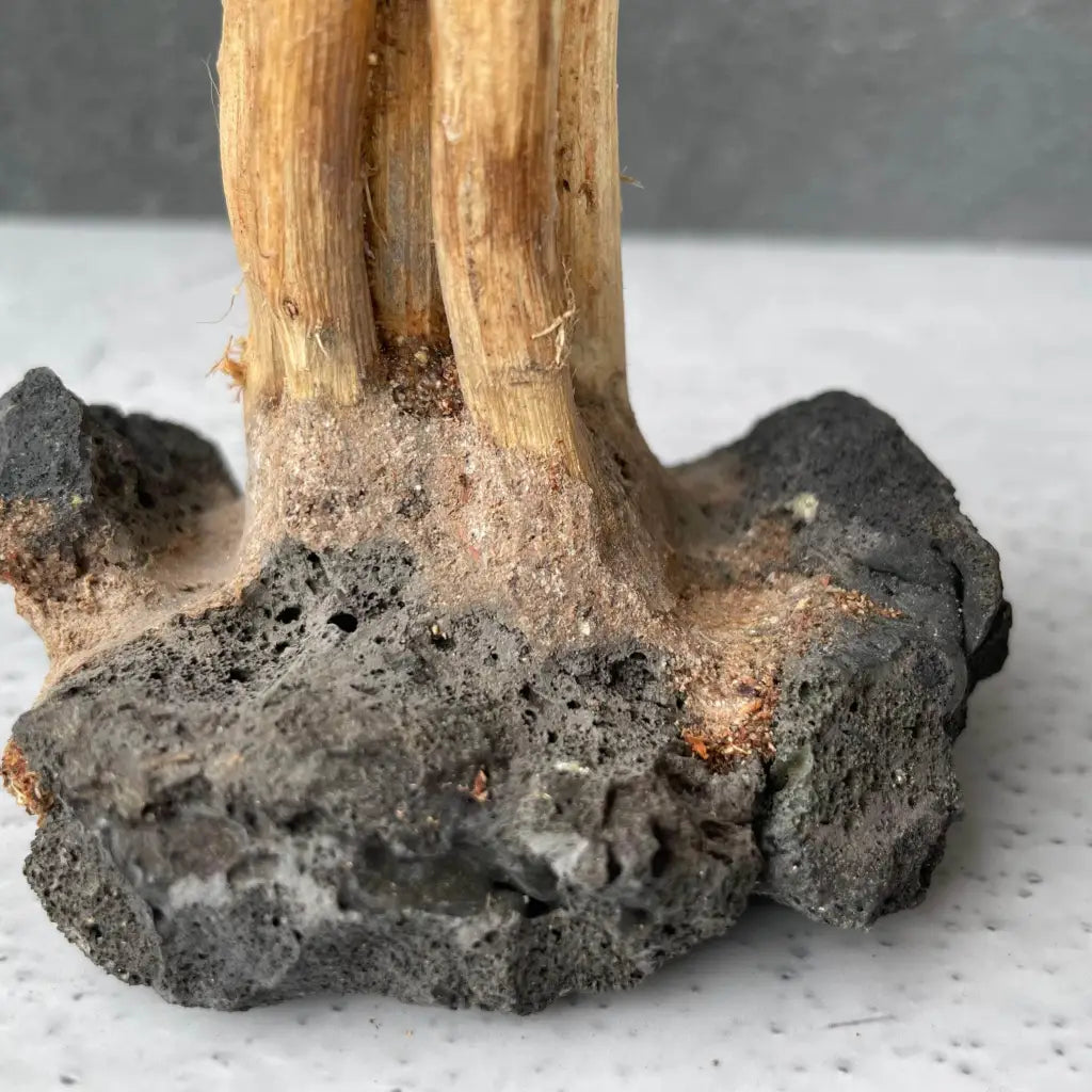 Aquascaping Mini Handmade Aquatic Bonsai Driftwood Tree15cm(H)x12cm(L) ABQ10