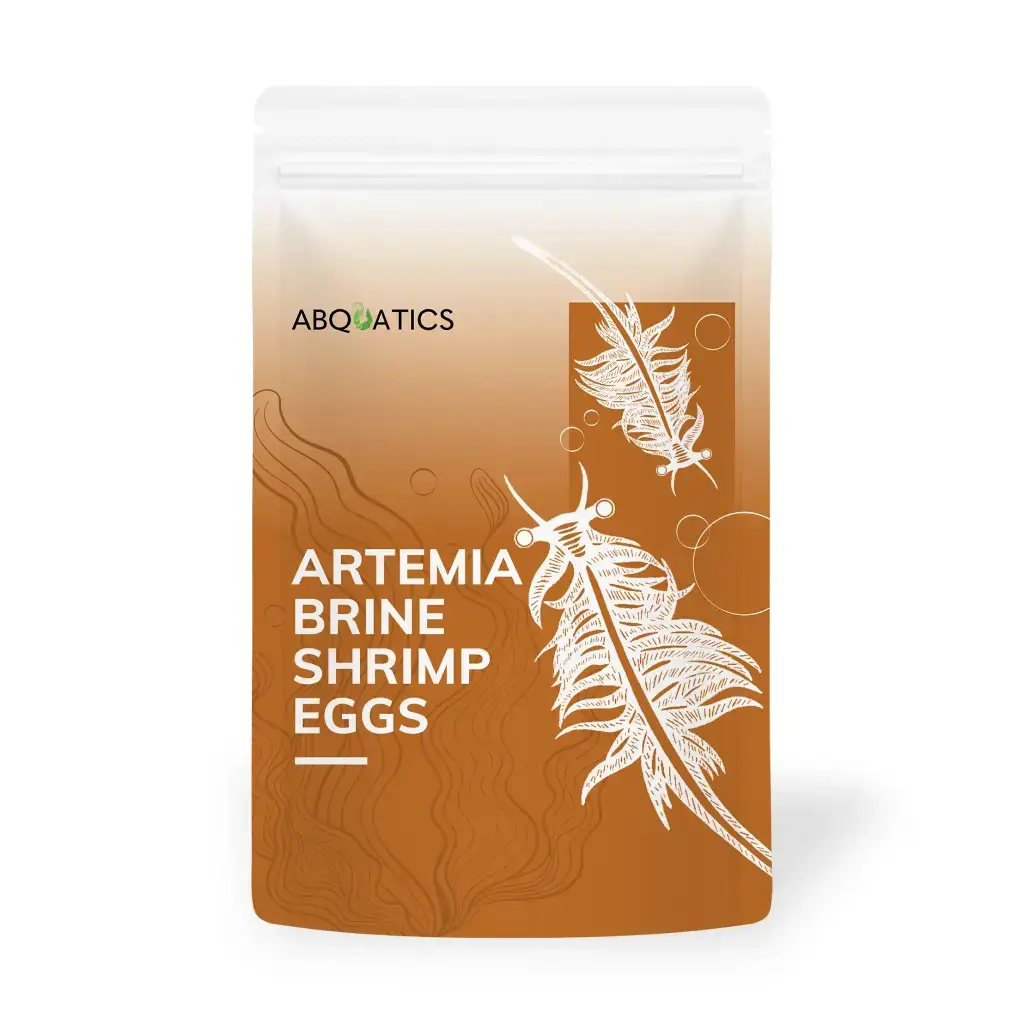 Artimia Brine Eggs Shrimp Cysts (95% Hatch Rate) - 25g Eggs