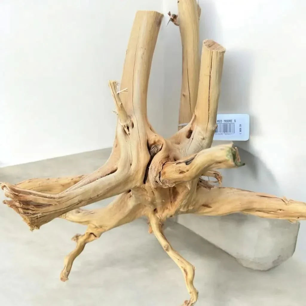 Light-colored driftwood sculpture.