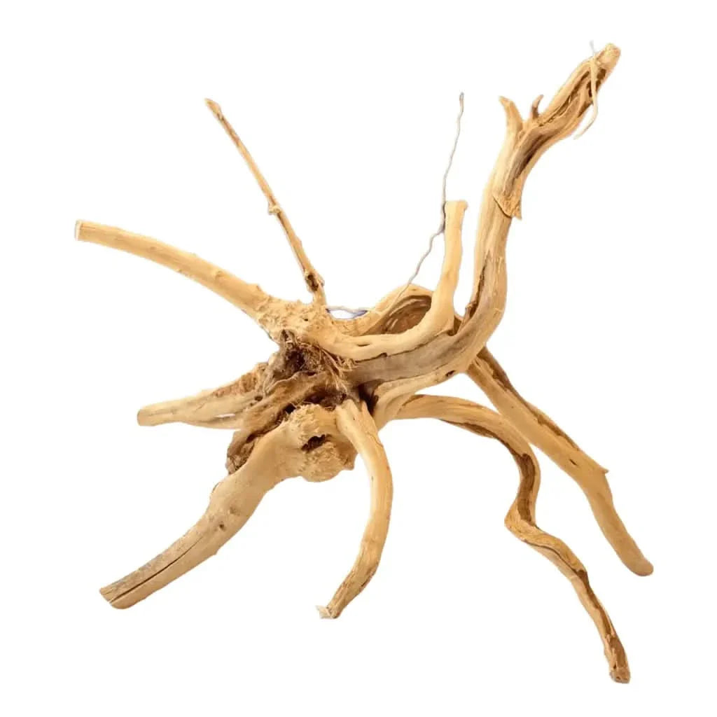 Light brown driftwood root structure.