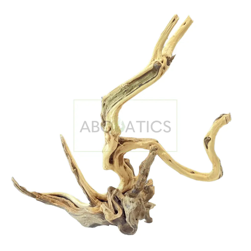 Assorted Spider Wood