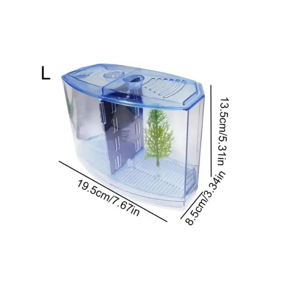 Small, blue-trimmed aquarium with dimensions.