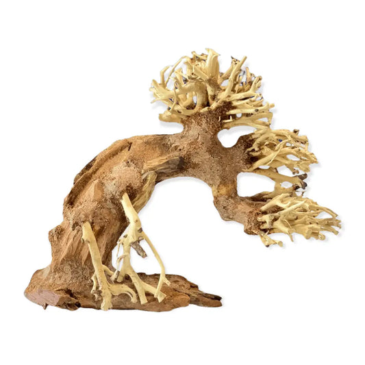 Bonsai Driftwood Tree AS2 - 20cmX15cmX10cm
