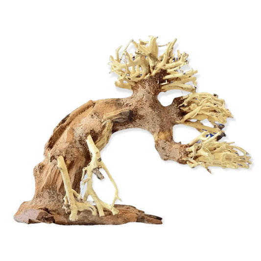 Bonsai Driftwood Tree AS3 23cmx17cmx12cm