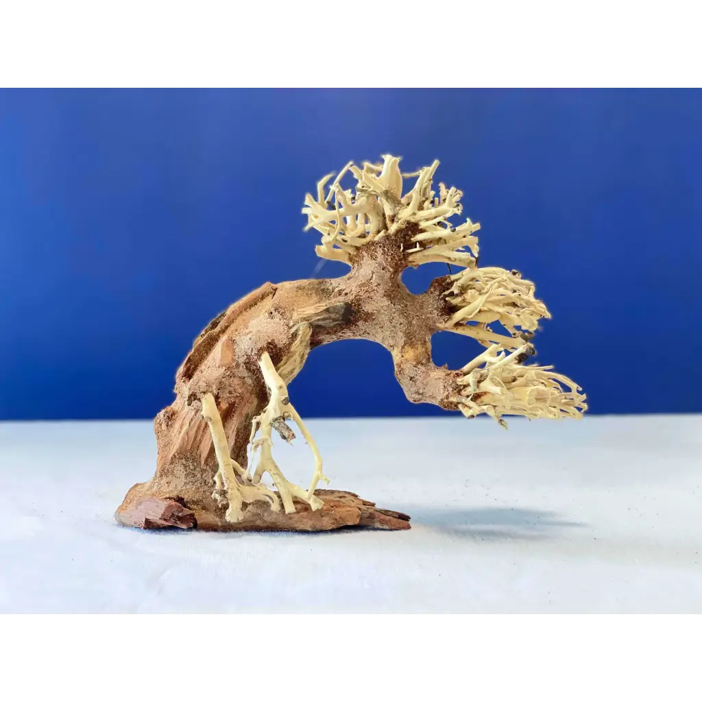 Bonsai Driftwood Tree AS3 23cmx17cmx12cm