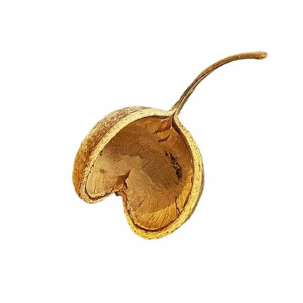 A golden, heart-shaped seed pod with a textured surface and a slender stem.