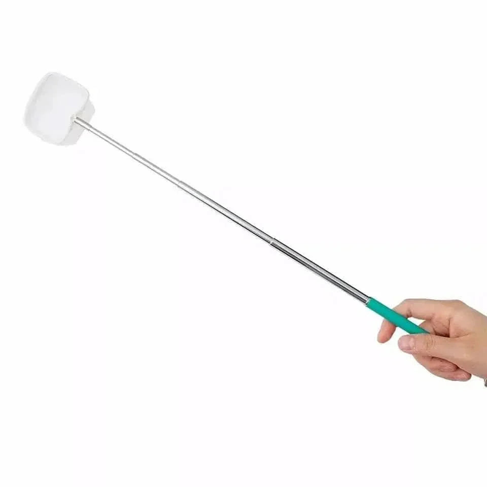 Extendable toilet brush with green handle.