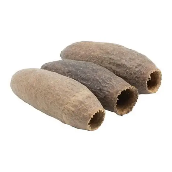 Three dried, brownish-tan, fibrous sea cucumber pods with rough textures and open ends.