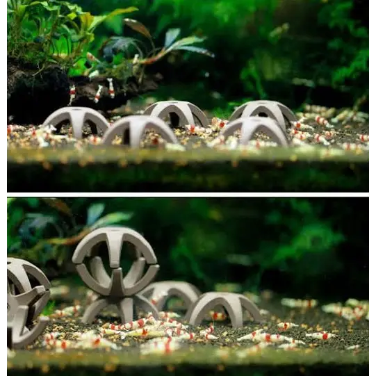 Ceramic Star Shrimp shelter - 5 in One Pack)