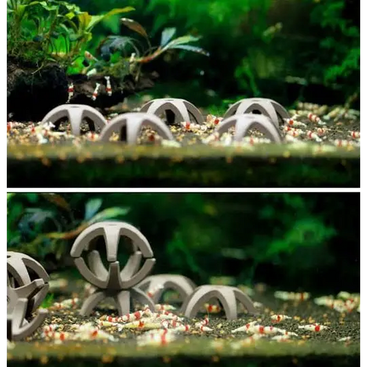 Ceramic Star Shrimp shelter - 5 in One Pack)