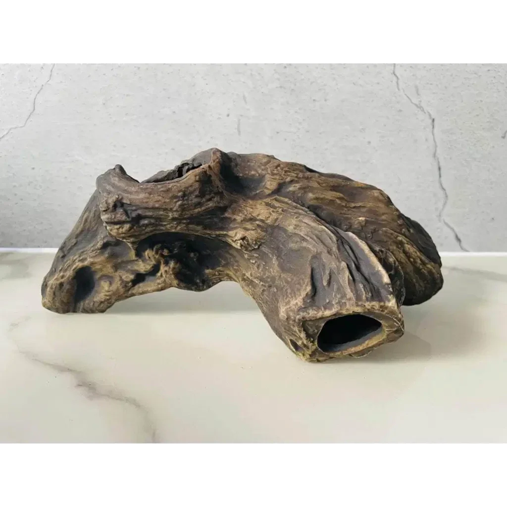 Dark brown driftwood with hollow openings.