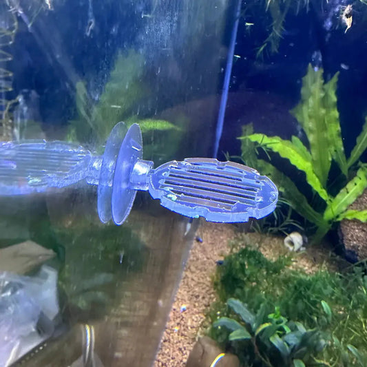 Circle Plant Moss Ledge 4cm (Clear)
