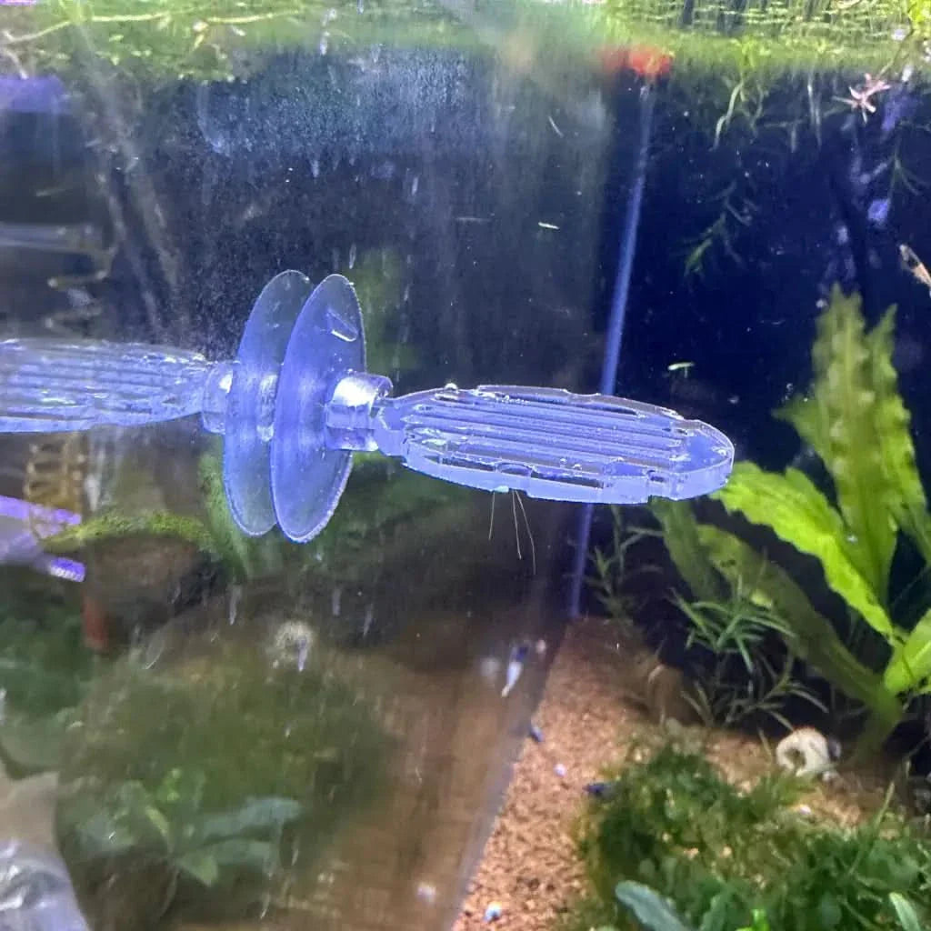 Blue plastic aquarium algae scraper.
