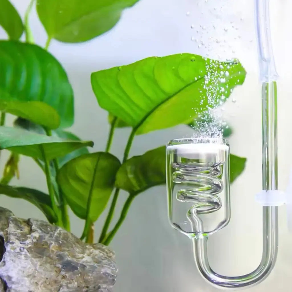 CO2 Glass Diffuser - Spiral