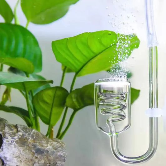 CO2 Glass Diffuser - Spiral