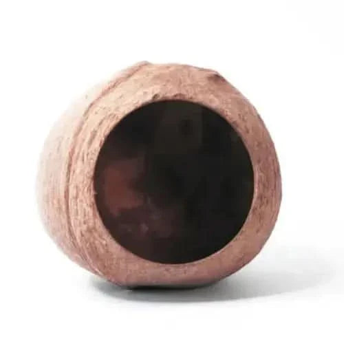 Hollowed-out coconut shell.