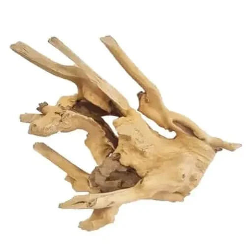 Light-colored, porous driftwood.
