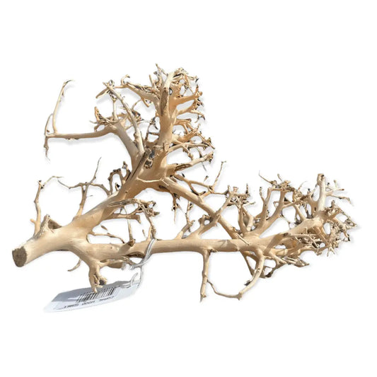 Coral Wood