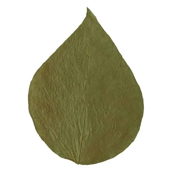 Olive-green paper leaf with a textured, slightly crinkled surface and visible vein patterns.