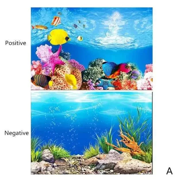 Aquarium background with colorful marine life.