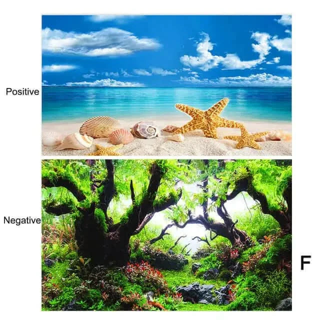 Two contrasting nature scenes.