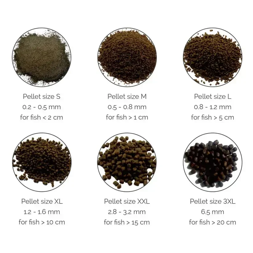 Fish food pellet size guide.