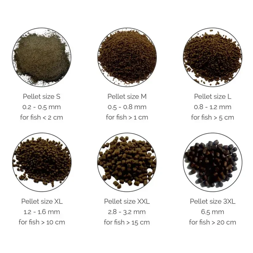 Fish food pellets of varying sizes.
