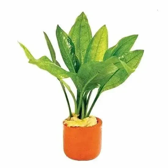 Potted green plant.