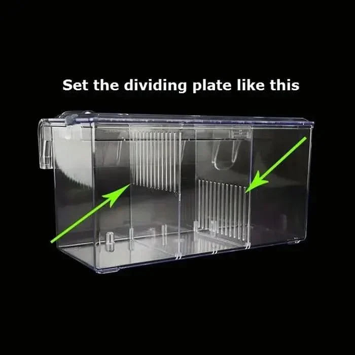 Clear plastic aquarium divider.