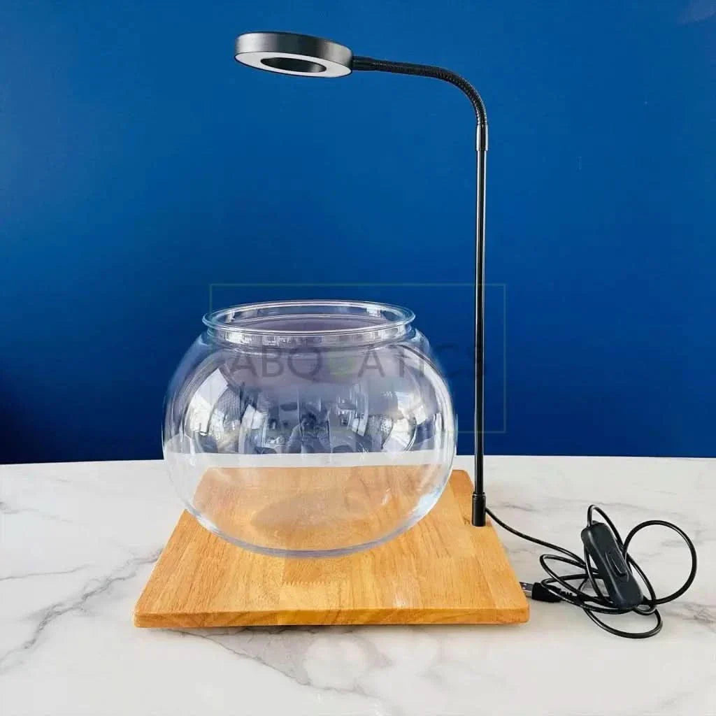 Fishbowl with attached light.