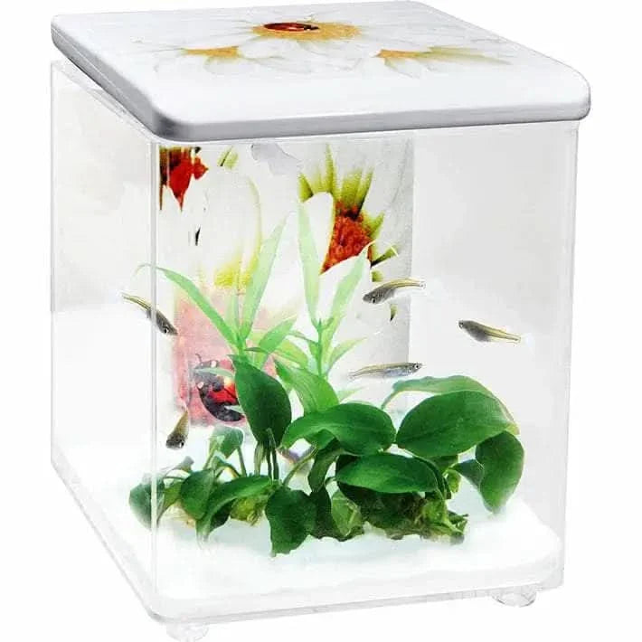 Square fish tank with floral design.