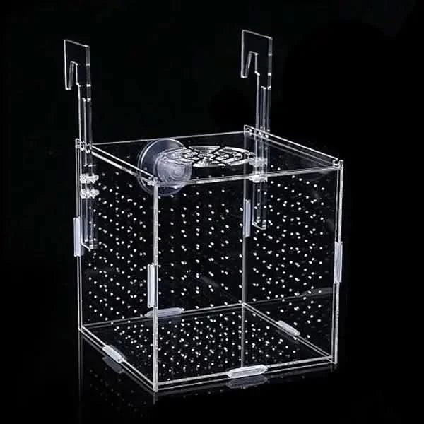 Clear acrylic aquarium breeder box.