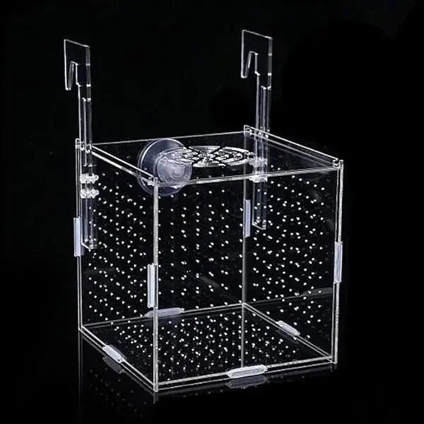 Flatpack Arcylic Breeder Isolation Box 15cmx15cmx15cm -