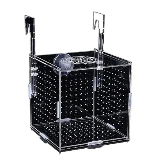 Flatpack Arcylic Breeder Isolation Box 15cmx15cmx15cm -