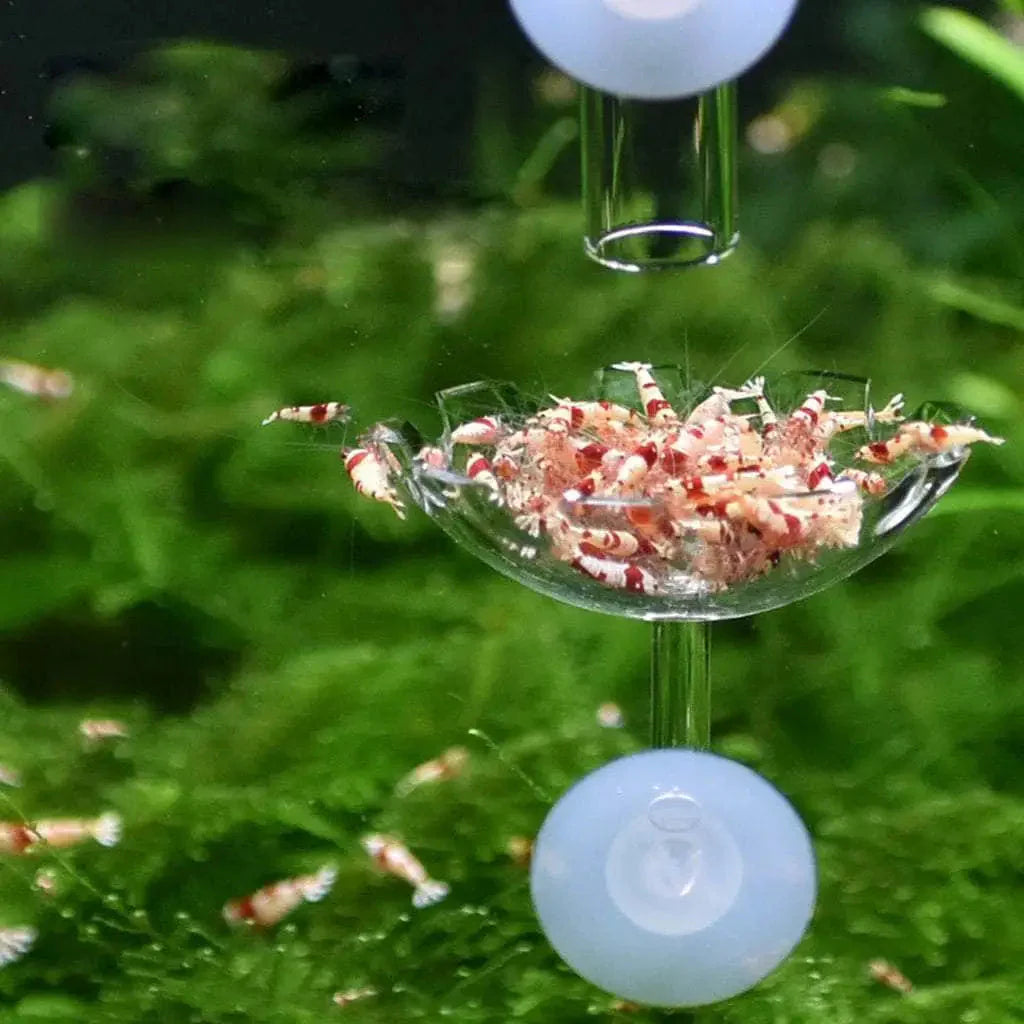 Flower Shaped Food Basin With Suction Cup