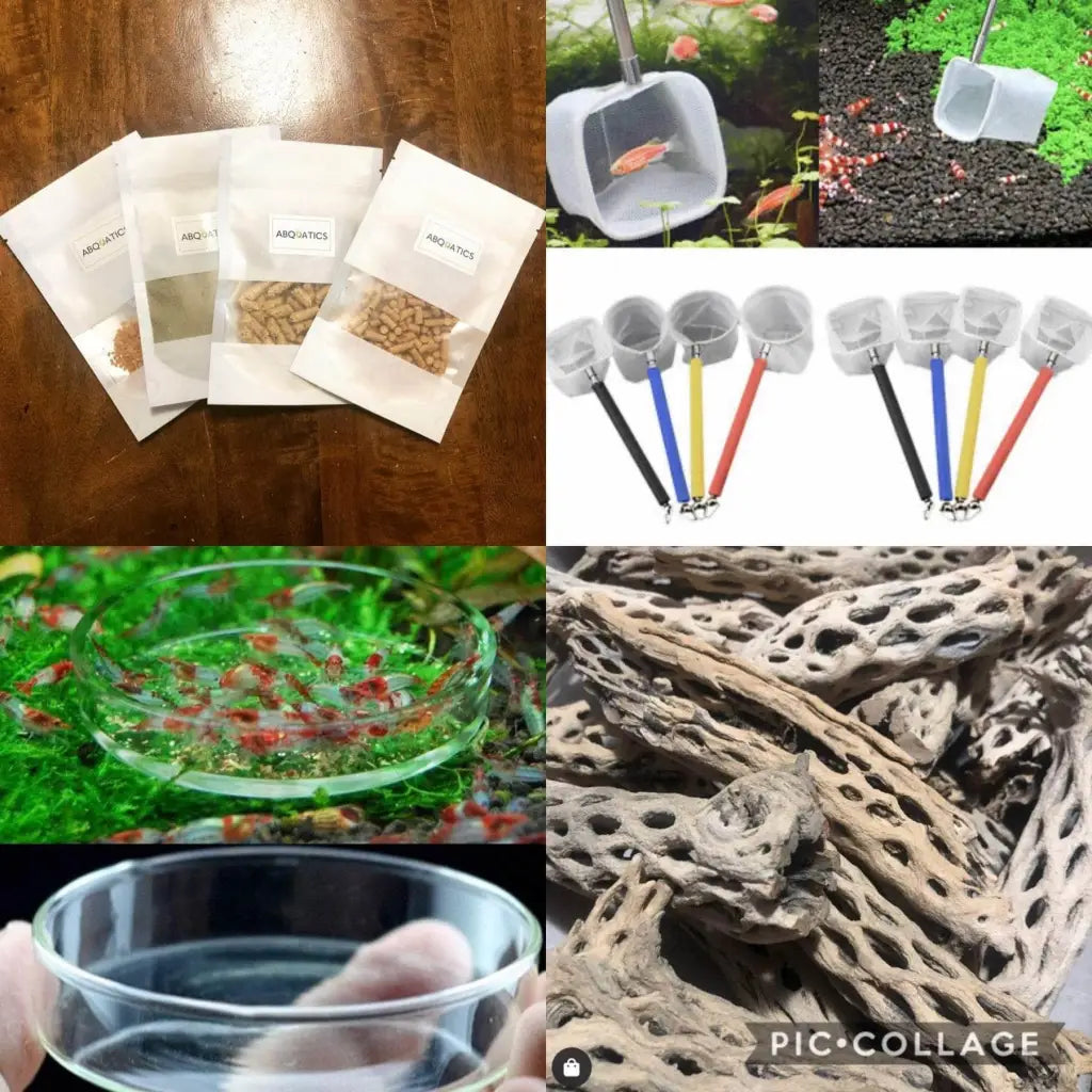 Deal One : Food combo Pack + Cholla + Feeding Dish + 3d Net