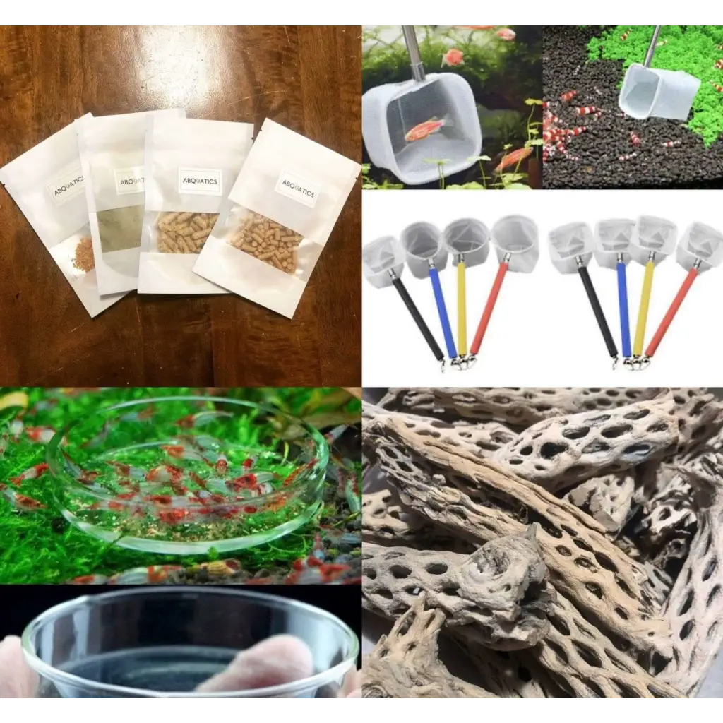Food combo Pack + Cholla + Feeding Dish + 3d Net